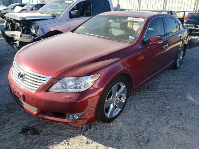 2011 LEXUS LS 460 JTHBL5EF2B5102558