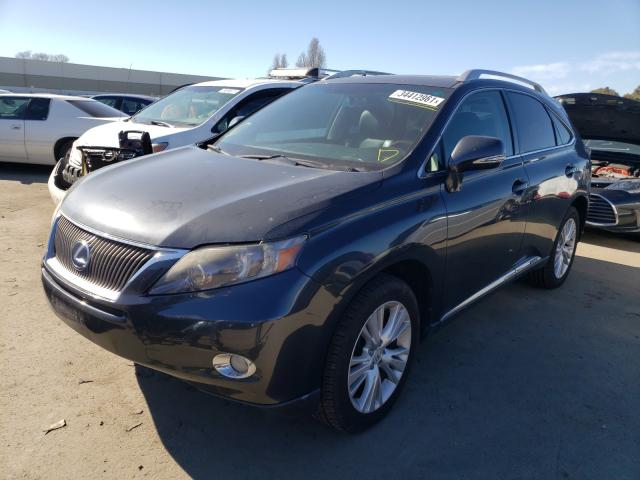 2010 LEXUS RX 450 JTJBC1BA4A2010061