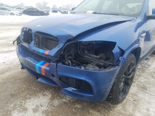 2010 BMW X5 M 5YMGY0C5XALK25354