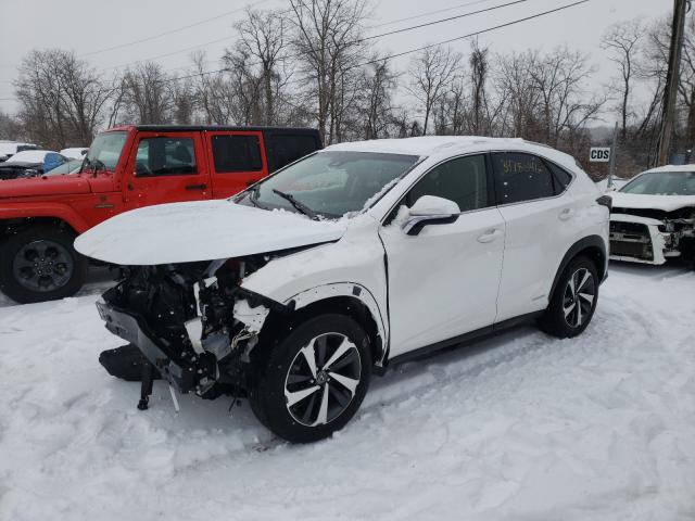 2018 LEXUS NX 300H JTJBJRBZ5J2083837