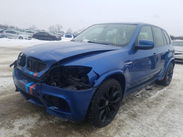 2010 BMW X5 M 5YMGY0C5XALK25354