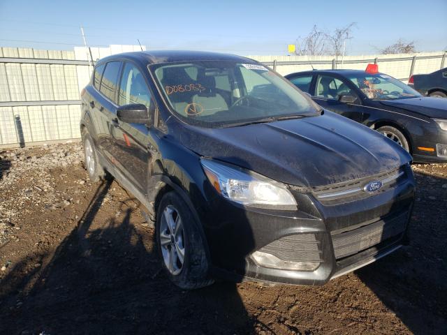 2014 FORD ESCAPE SE 1FMCU0GX1EUD08083