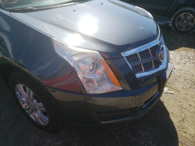 2010 CADILLAC SRX LUXURY 3GYFNAEY7AS549442