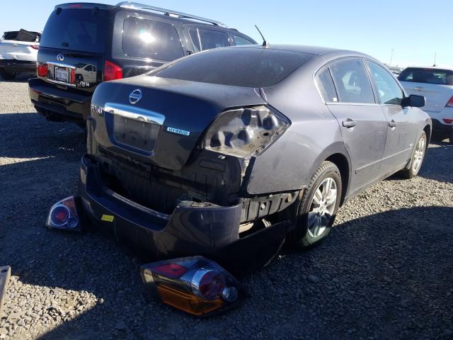 2010 NISSAN ALTIMA HYB - 1N4CL2AP4AC130848