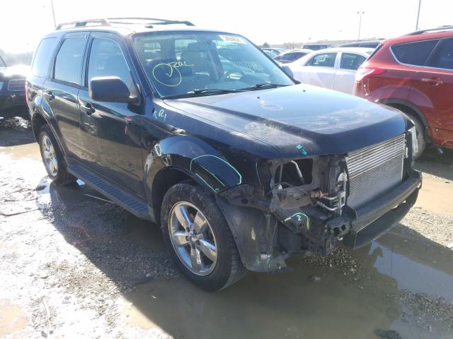 2010 FORD ESCAPE XLT 1FMCU0DGXAKC88765