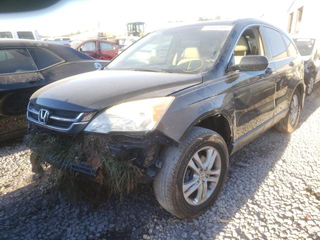 2011 HONDA CR-V EXL 5J6RE3H73BL008942