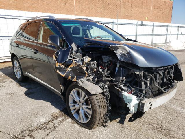 2010 LEXUS RX 450 JTJBC1BA4A2011288