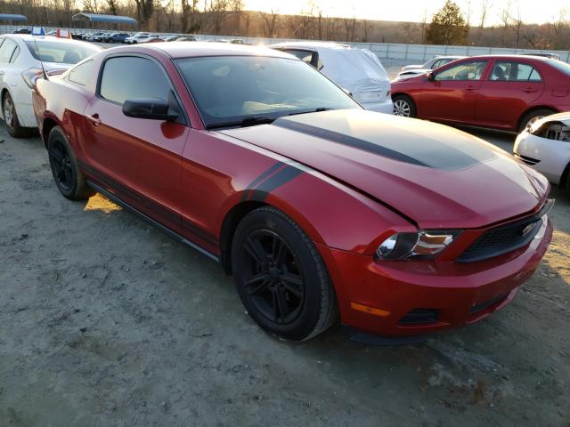 2010 FORD MUSTANG 1ZVBP8AN8A5102774