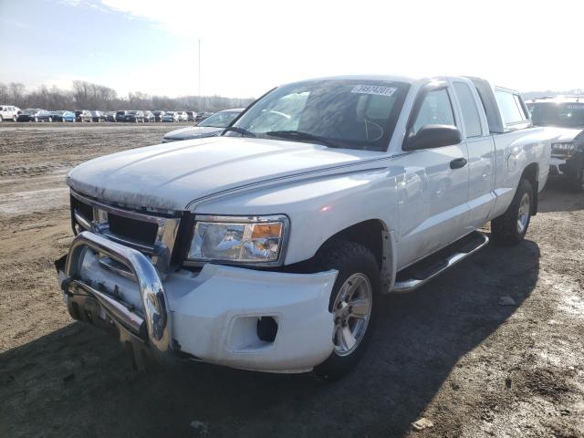2011 DODGE DAKOTA ST 1D7RE2BK4BS589358
