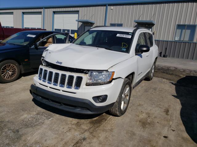 2011 JEEP COMPASS SP 1J4NT1FA3BD289996