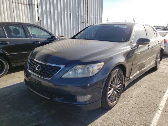 2011 LEXUS LS 460 JTHBL5EFXB5105403