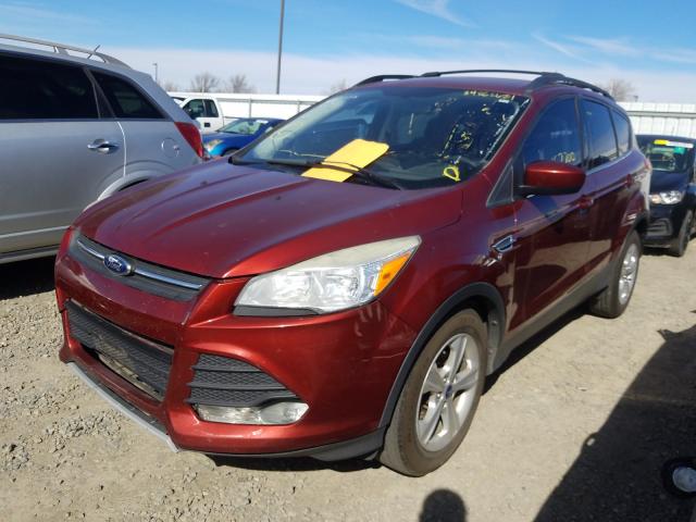 2014 FORD ESCAPE SE - 1FMCU0GX5EUA05663