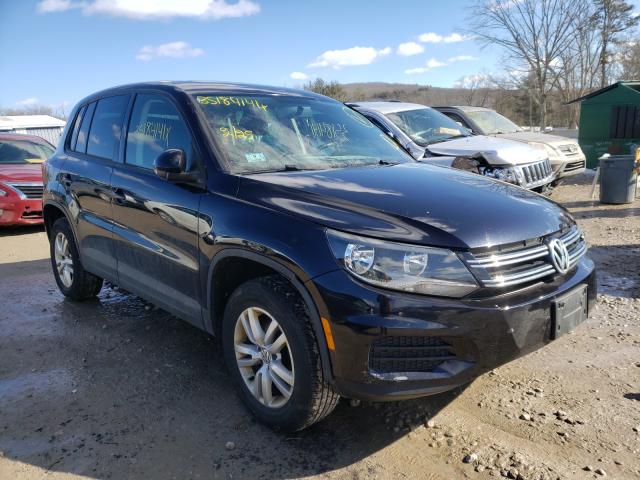 2013 VOLKSWAGEN TIGUAN S WVGBV3AX7DW595838
