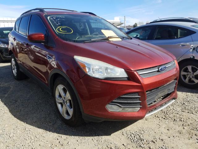 2014 FORD ESCAPE SE - 1FMCU0GX5EUA05663