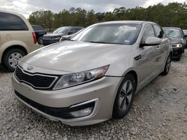 2013 KIA OPTIMA HYB KNAGM4AD2D5043806