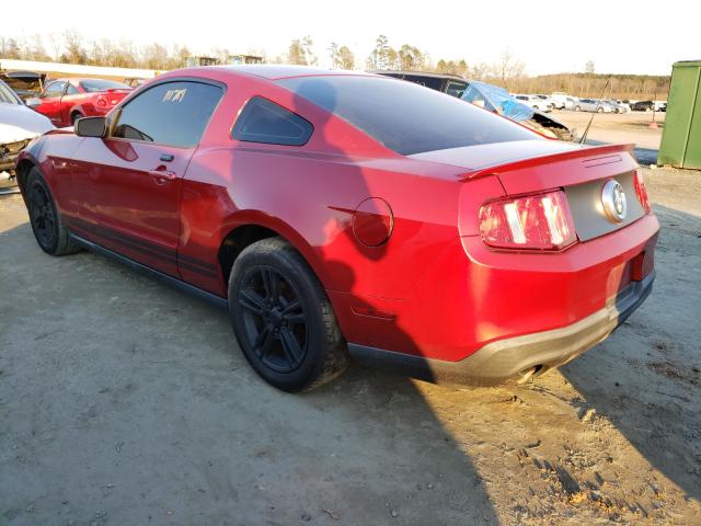 2010 FORD MUSTANG 1ZVBP8AN8A5102774
