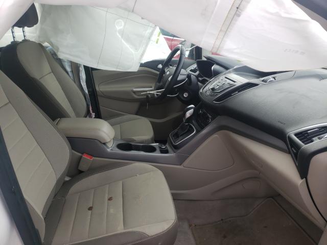 2013 FORD C-MAX SE 1FADP5AU2DL511716