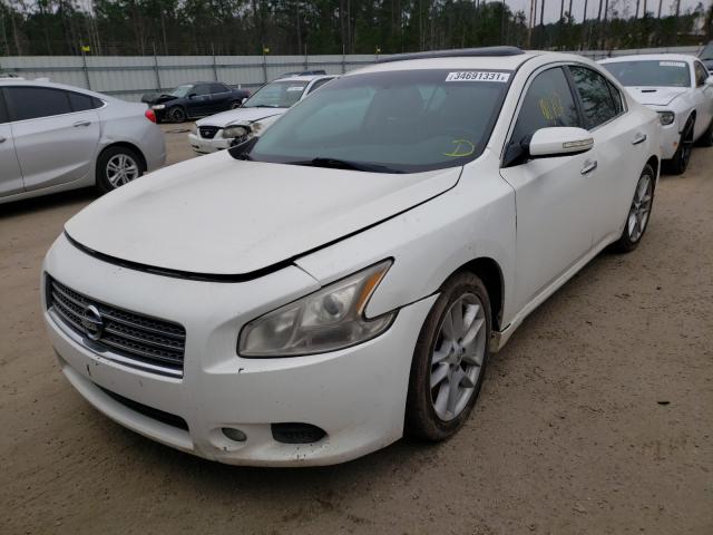 2011 NISSAN MAXIMA 1N4AA5AP2BC806262