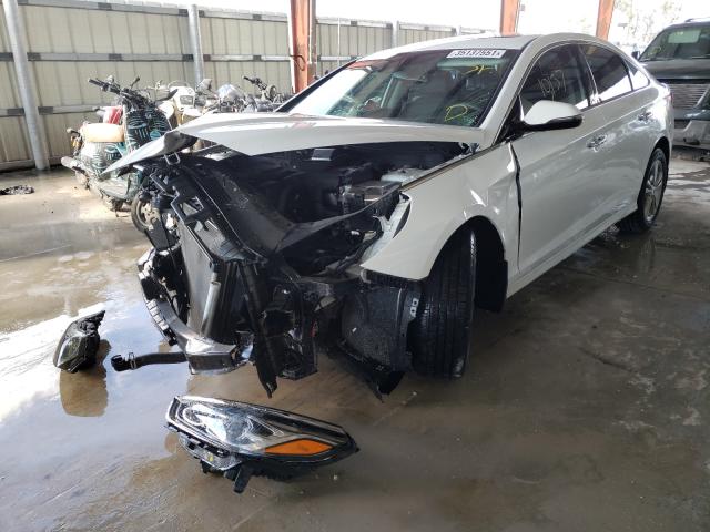 2019 HYUNDAI SONATA LIM 5NPE34AF6KH792443