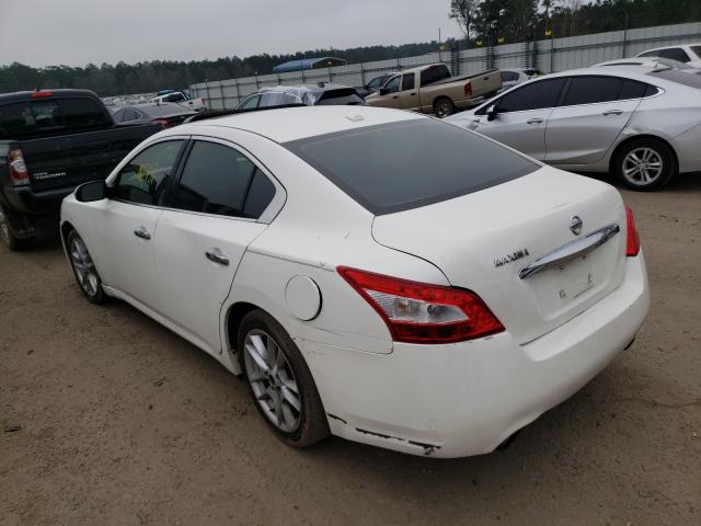 2011 NISSAN MAXIMA 1N4AA5AP2BC806262