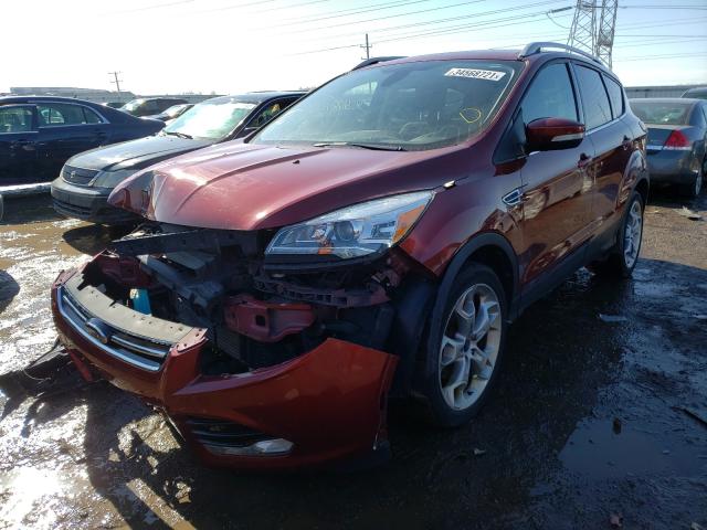 Lot #2429099567 2014 FORD ESCAPE TIT salvage car