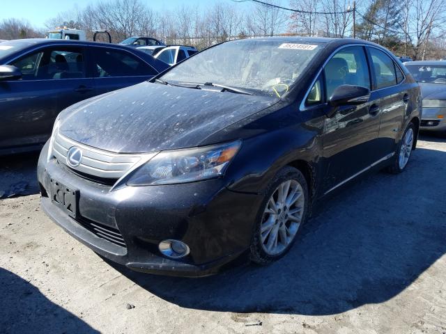 2010 LEXUS HS 250H JTHBB1BA8A2010679