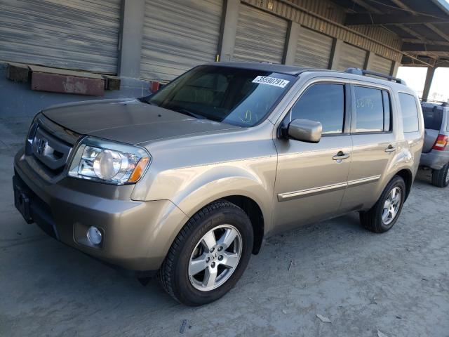 2010 HONDA PILOT - 5FNYF3H42AB004290