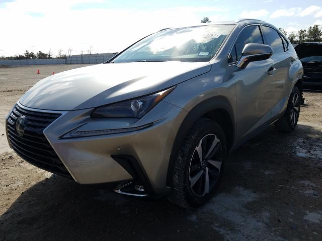 2019 LEXUS NX 300 BAS JTJYARBZ4K2129119
