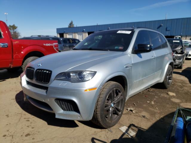 2010 BMW X5 M 5YMGY0C59ALK25667