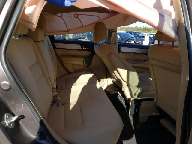 2010 HONDA CRV 5J6RE4H36AL018673