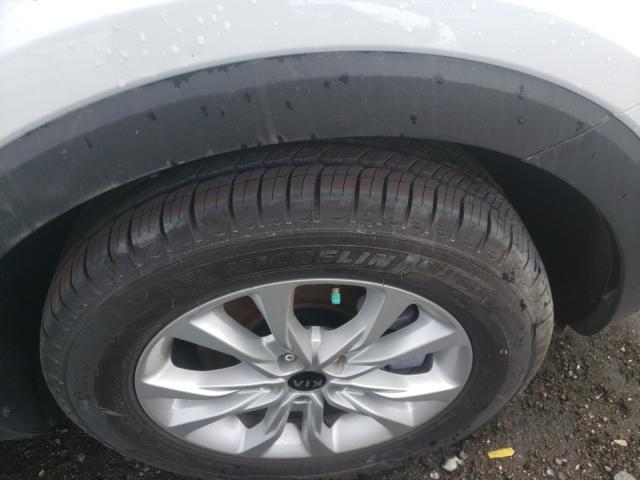 2020 KIA TELLURIDE - 5XYP2DHC8LG040579
