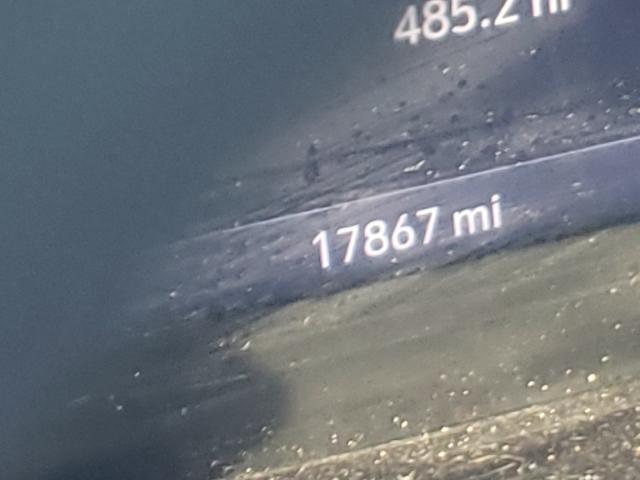 2019 CHEVROLET SILVERADO 3GCUYEED4KG307320