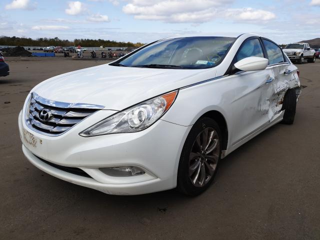 2011 HYUNDAI SONATA SE 5NPEC4AC0BH244833