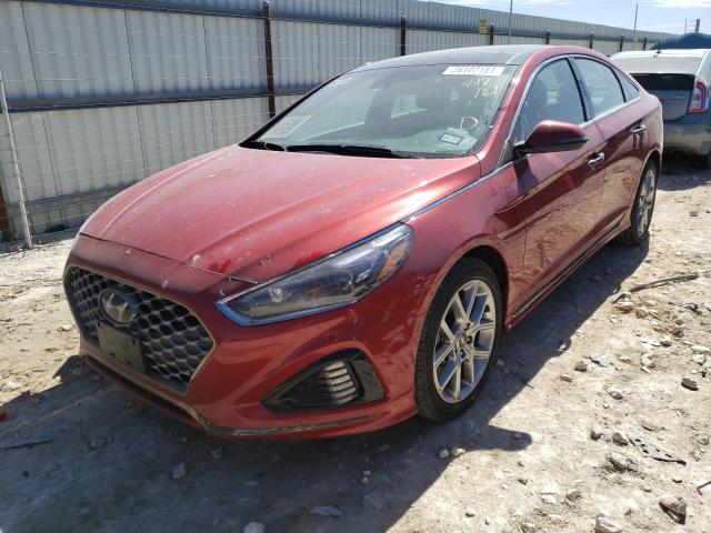 2019 HYUNDAI SONATA LIM 5NPE34AB9KH812181