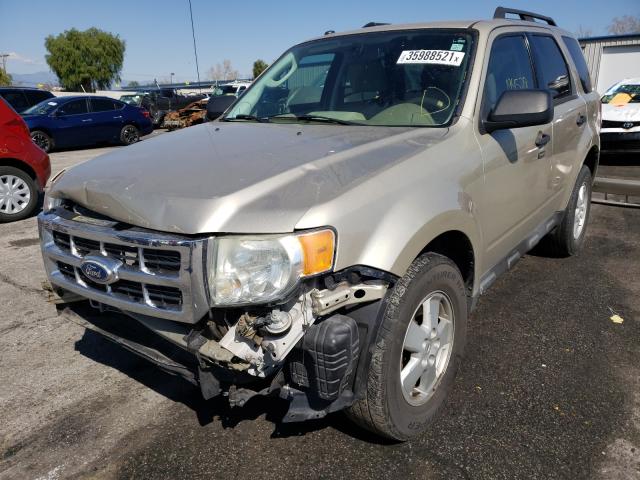 2011 FORD ESCAPE XLT 1FMCU0D78BKA81888