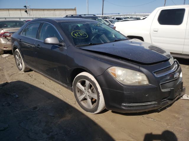 2011 CHEVROLET MALIBU 1LT 1G1ZC5E19BF194467
