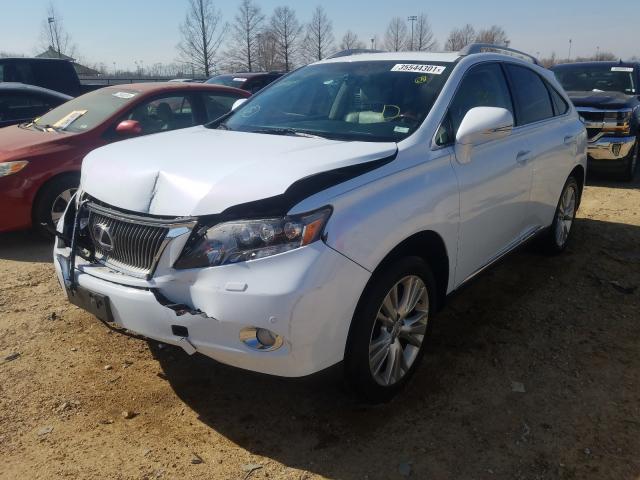 2010 LEXUS RX 450 JTJBC1BA4A2017205