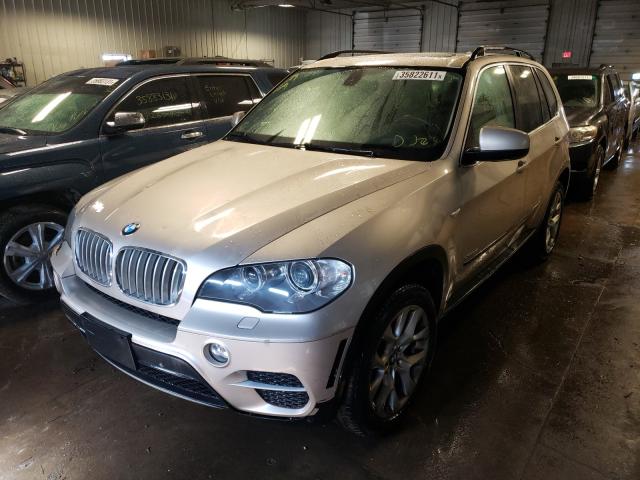 2013 BMW X5 5UXZV4C58D0B20787