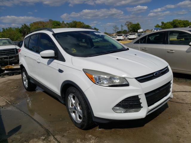 2014 FORD ESCAPE SE 1FMCU0G95EUA27566