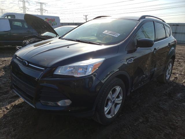 2014 FORD ESCAPE SE 1FMCU0GX5EUA83568