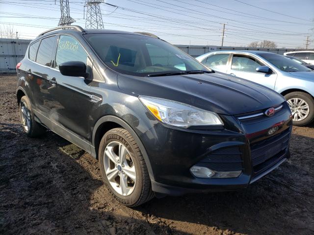 2014 FORD ESCAPE SE 1FMCU0GX5EUA83568