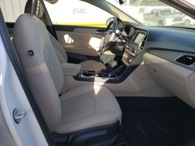2019 HYUNDAI SONATA LIM 5NPE34AF8KH797806