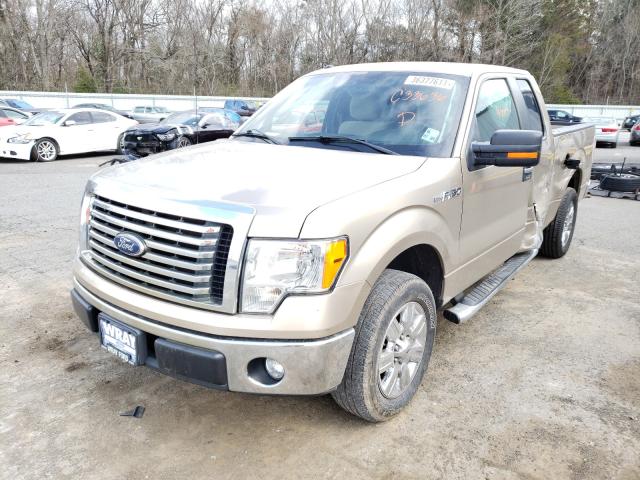 2011 FORD F150 SUPER 1FTEX1CM5BFC33636