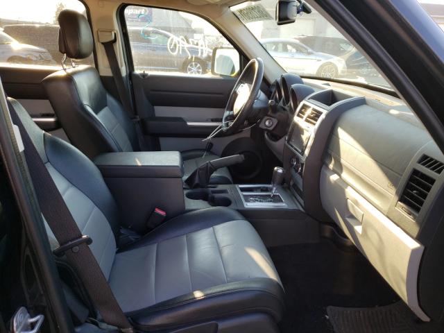 2010 DODGE NITRO SXT 1D4PU5GX6AW140817