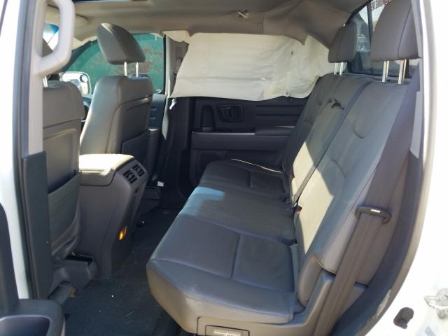 2010 HONDA RIDGELINE 5FPYK1F57AB007656