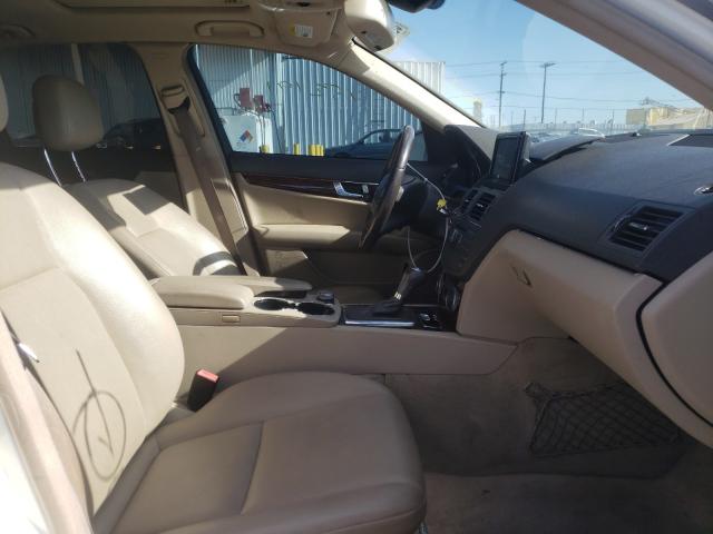 2010 MERCEDES-BENZ C 350 WDDGF5GBXAR096112