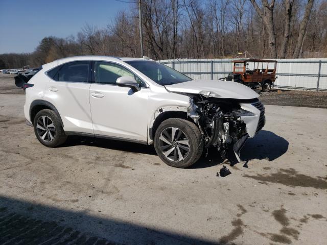2018 LEXUS NX 300 BAS JTJBARBZ5J2163669