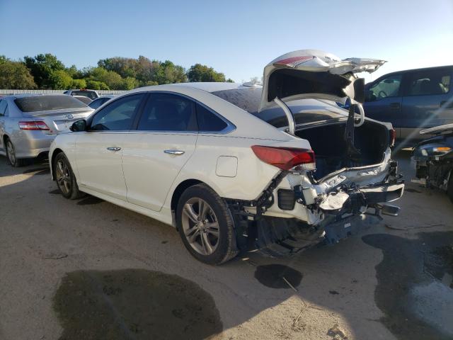 2019 HYUNDAI SONATA LIM 5NPE34AF8KH797806