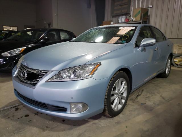 2010 LEXUS ES 350 JTHBK1EG4A2349021