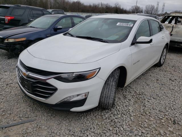 2019 CHEVROLET MALIBU LT 1G1ZD5ST5KF133524